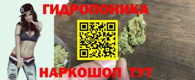спиды Моздок