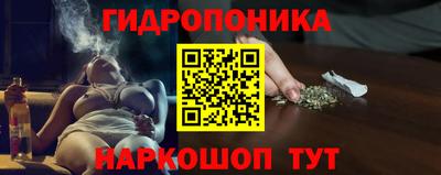 спиды Моздок
